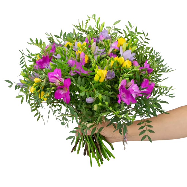 bouquet of freesia